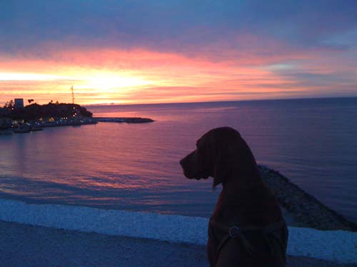 La Zenia at daybreak