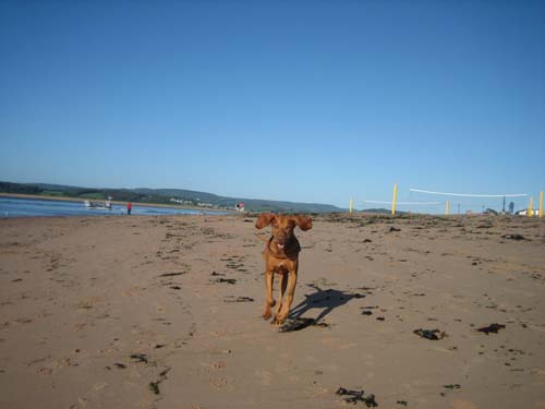 milosh on the beach at Exmouth