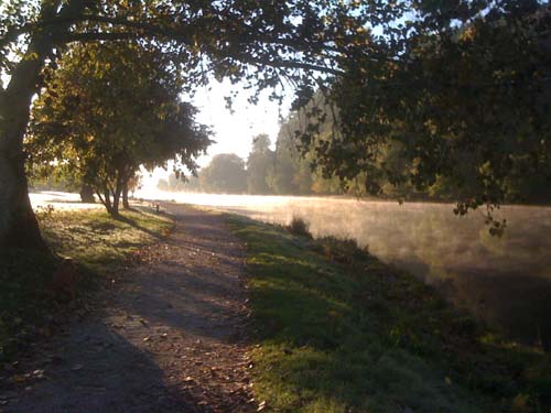 The Dart River in Autumn