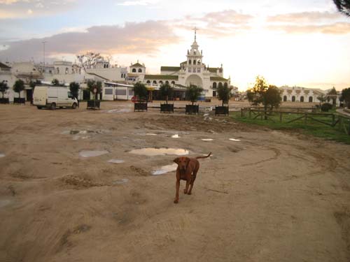 el rocio