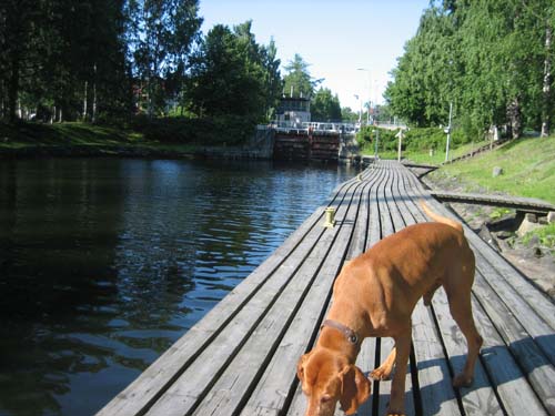 The Vääsky Canal Locks