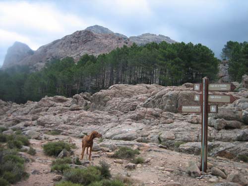 Corsica Mountains