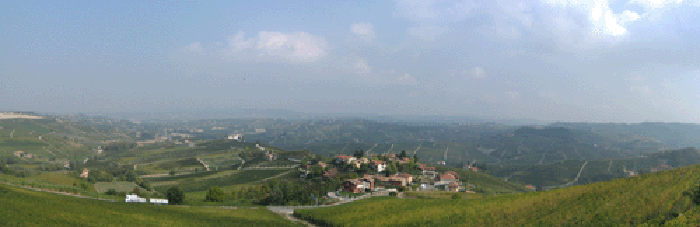 View above Barolo