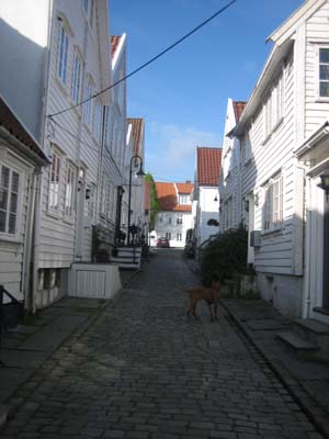 Stavanger