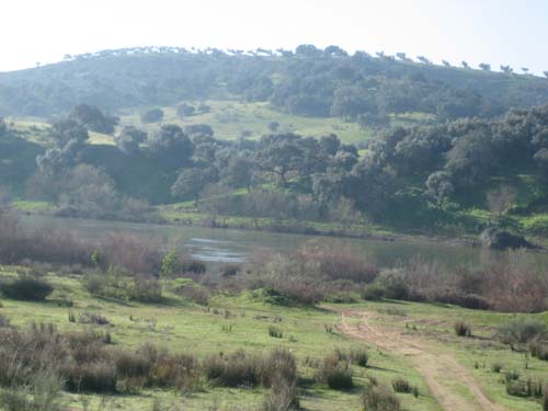 Rio Guadiana