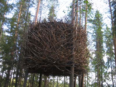 Nest