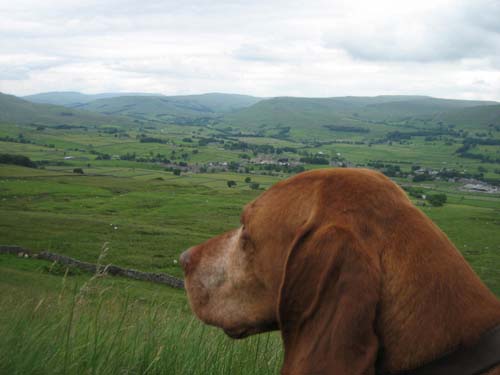 Milosh above Hawes