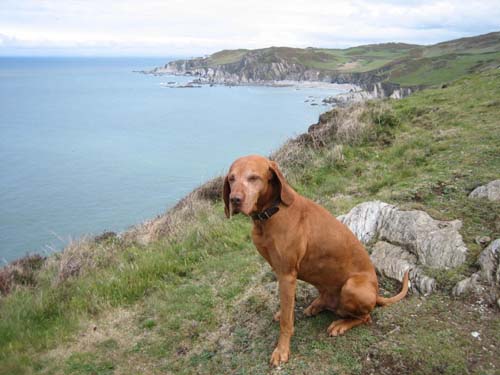 North Devon Coast