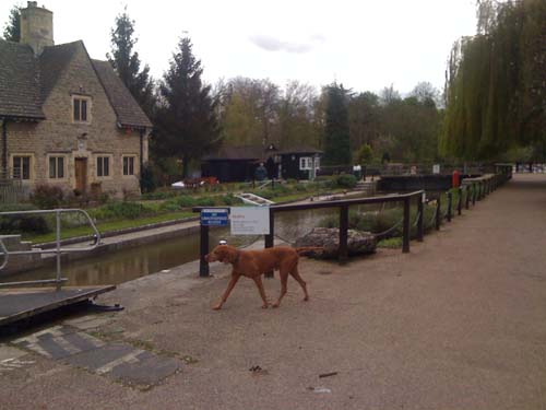 The Thams at Oxford