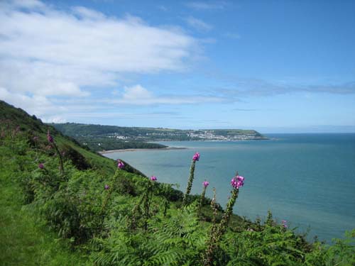 Back towards New Quay