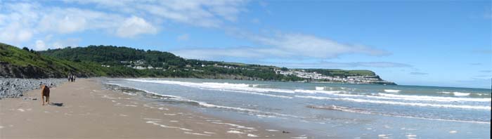 New Quay in the Sun