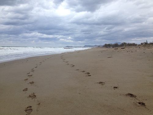 On the Beach with man and friend