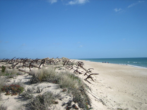 Beach View