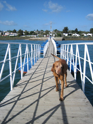 Crossing the Bridge to the Railway