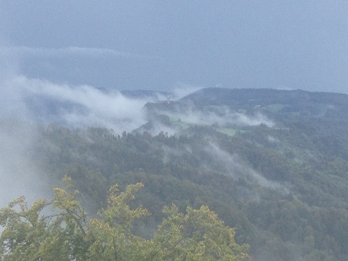 View in the mist on Uetliberg