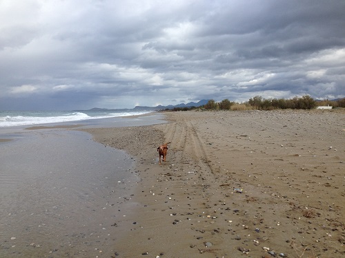 The Sea in January