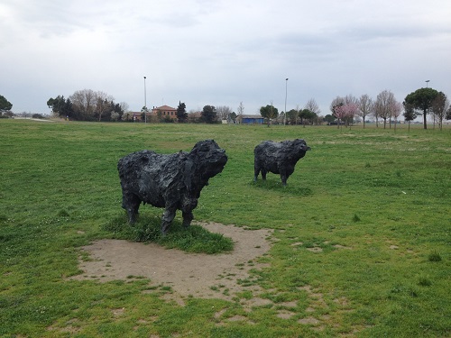 Cattle in the Meadow