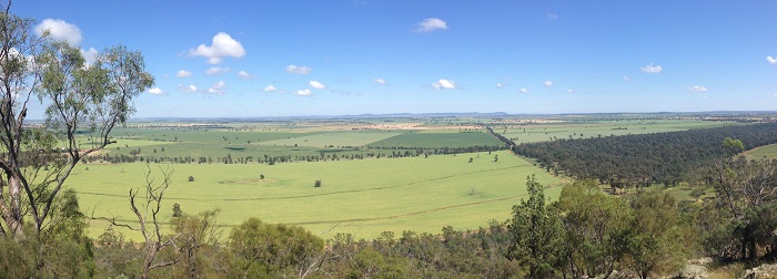 Local Hill