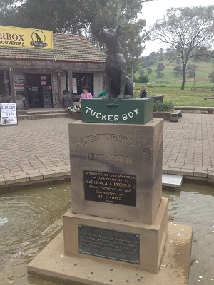 Dog on Tuckerbox