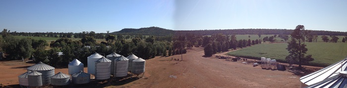 Silo Picture