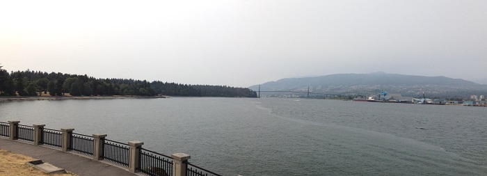 Stanley Park with bridge