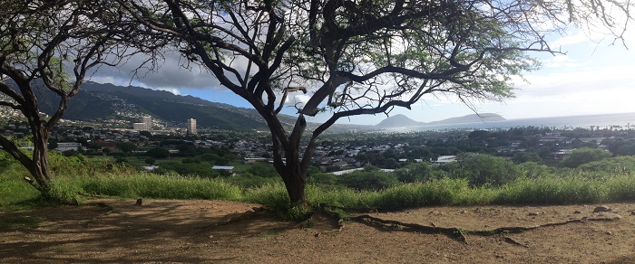 Diamond Head looking East