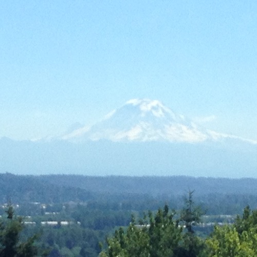 Mt Rainer