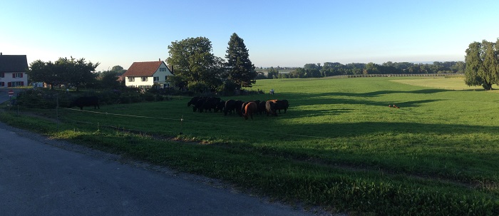 Manzer Farm St. Gallen