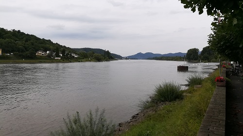 The Rhine again