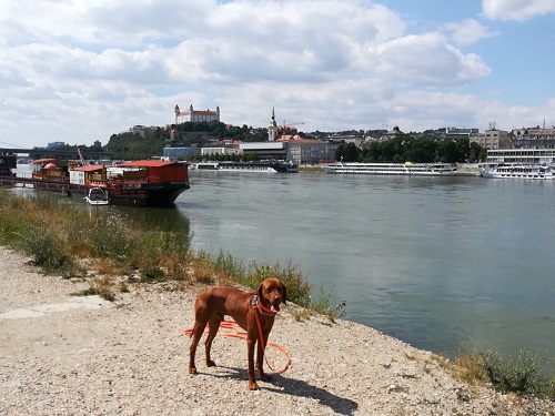 Bratislava