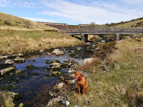 Avon Dam