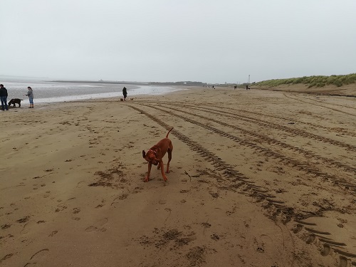 Instow Beach