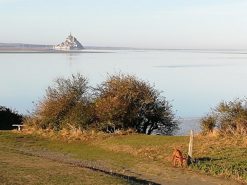 Mount in the Morning