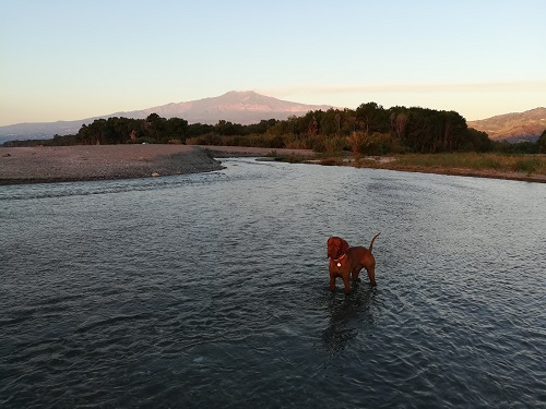 Etna River Mouth